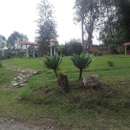 Bed and Breakfast La Gaviota Bnb Филандия Экстерьер фото